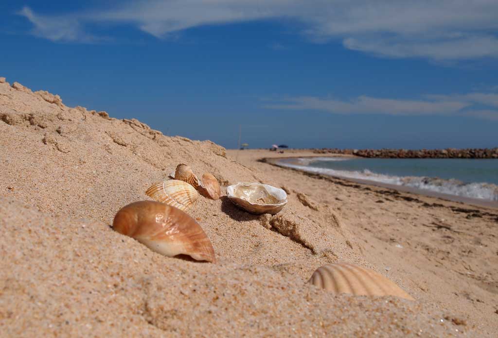 Strand Praia do Barril - Algarve Portugal