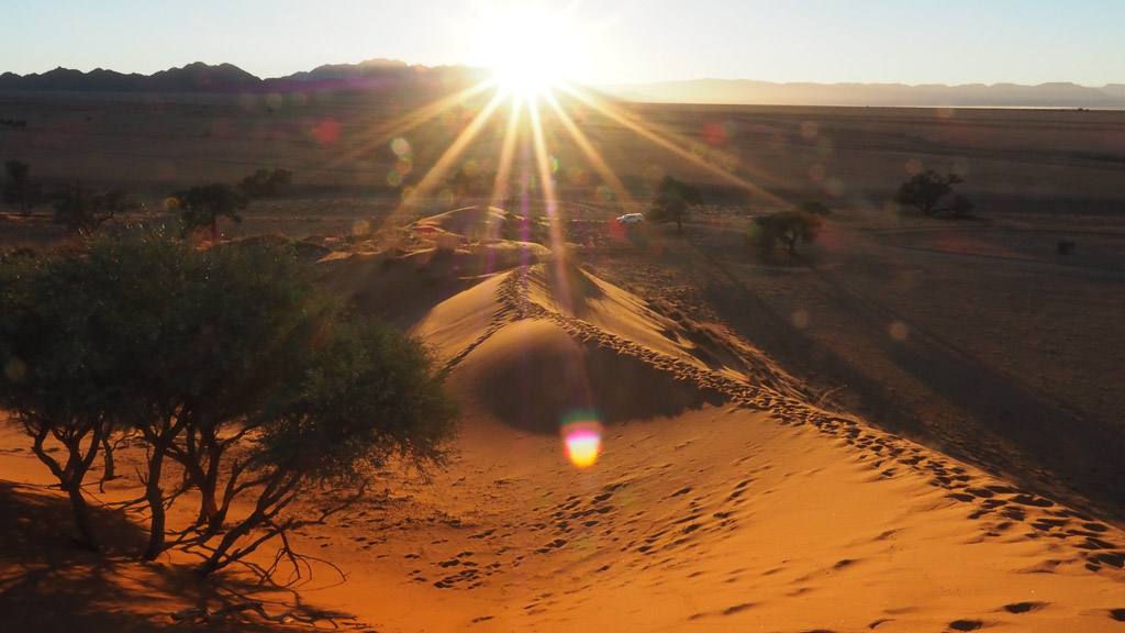 Foto: Sonnenaufgang bei den Elim Dunes Sesriem Namibia