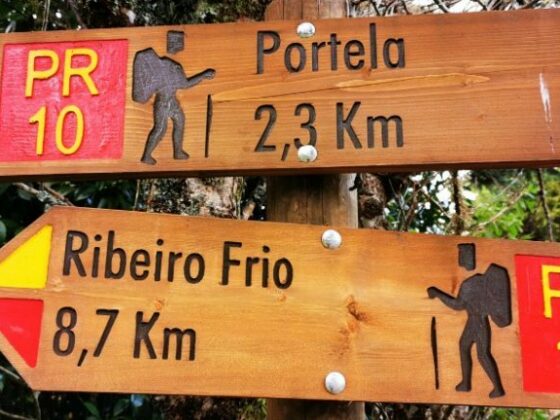 Madeira - Wanderung von Ribeiro Frio nach Portela