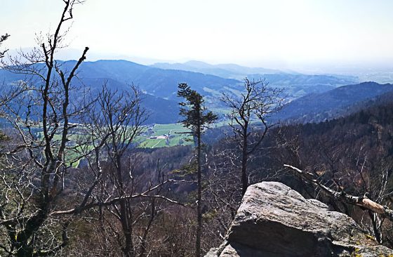 Foto: Panoramafoto vom Kandel im Schwarzwald mit Blick in das Elsass